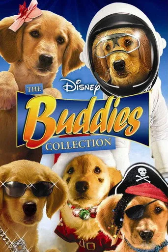 Buddies serisi