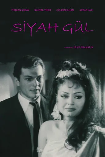 Siyah Gül (1966) posteri