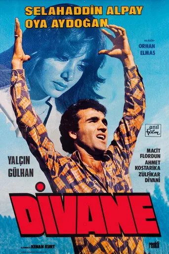 Divane (1979) posteri
