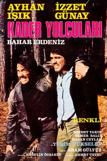 Kader Yolcuları (1973) posteri