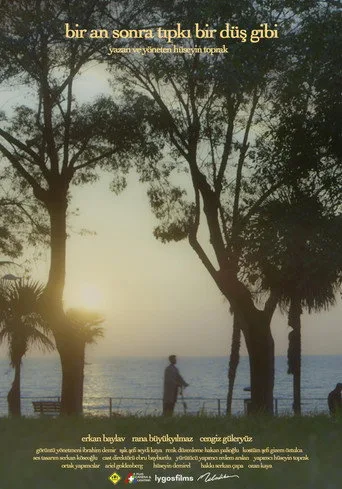 Bir An Sonra Tıpkı Bir Düş Gibi (2021) posteri