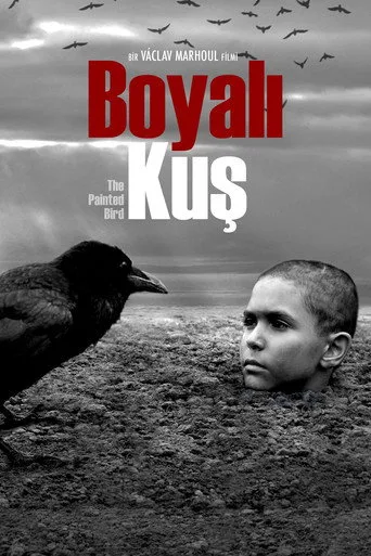 Boyalı Kuş (2019) posteri
