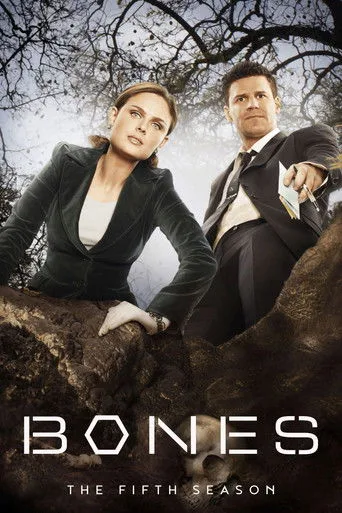 Bones 5. sezon posteri
