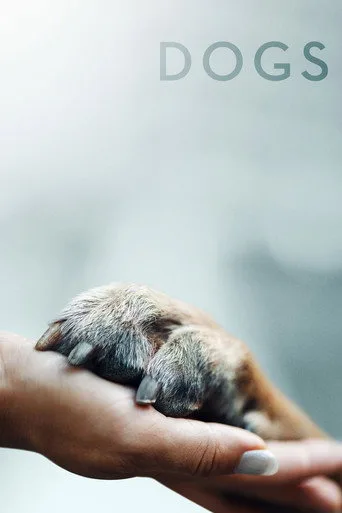 Köpekler 1. sezon posteri