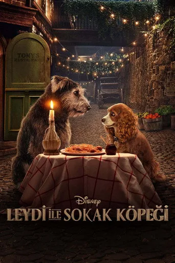 Lady ile Sokak Köpeği (2019) posteri
