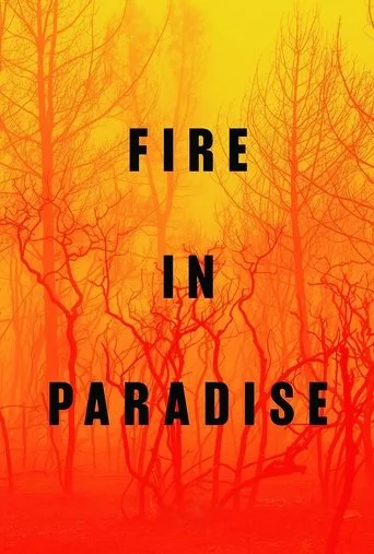 Fire in Paradise (2019) posteri