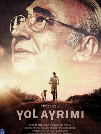 Yol Ayrımı (2017) posteri