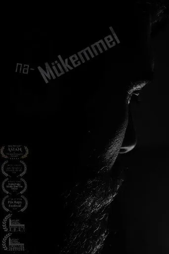 na-Mükemmel (2020) posteri