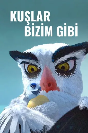 Kuşlar Bizim Gibi (2017) posteri