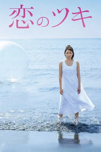 Love and Fortune 1. sezon posteri