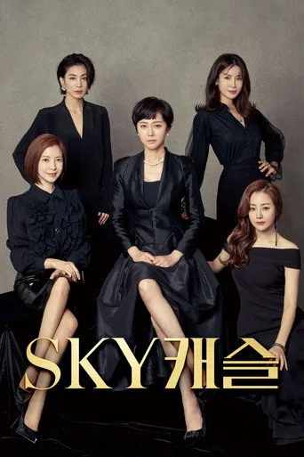 SKY Castle 1. sezon posteri