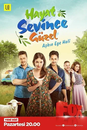 Hayat Sevince Güzel (2016) posteri