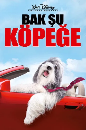 Bak Şu Köpeğe (2006) posteri
