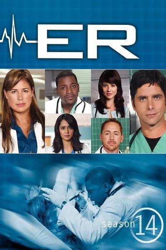 ER 14. sezon posteri