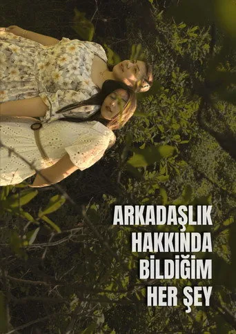 Arkadaşlık Hakkında Bildiğim Her Şey (2026) posteri