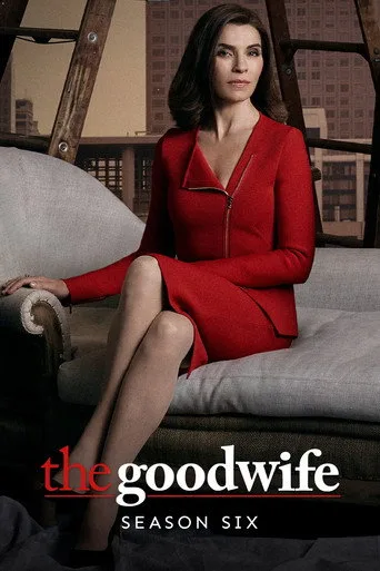 The Good Wife 6. sezon posteri