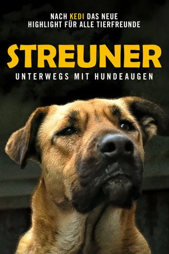 Stray (2021) posteri