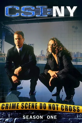 CSI: NY 1. sezon posteri