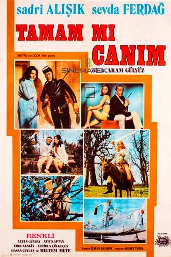 Tamam mı Canım (1971) posteri