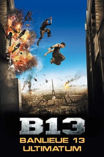 Tehlikeli Bölge (2009) posteri