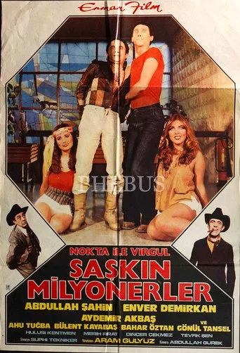 Şaşkın Milyonerler (1980) posteri