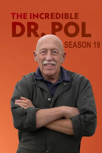 Yetenekli Doktor Pol 19. sezon posteri