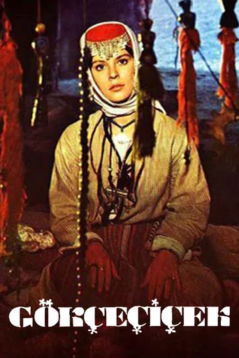 Gökçe Çiçek (1973) posteri