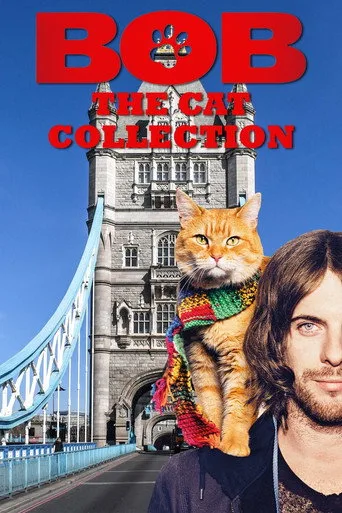 Bob The Cat serisi