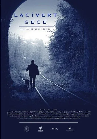 Lacivert Gece (2021) posteri