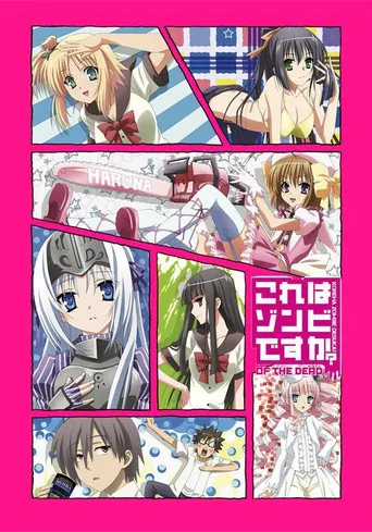 Kore wa Zombie Desu ka 2. sezon posteri