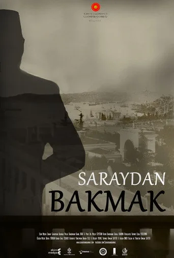 Saraydan Bakmak (2018) posteri