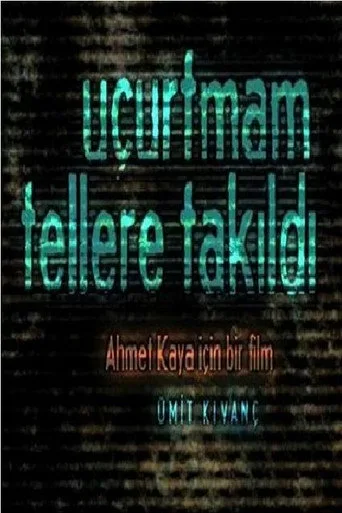 Uçurtmam Tellere Takıldı (2010) posteri