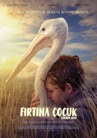 Fırtına Çocuk (2019) posteri