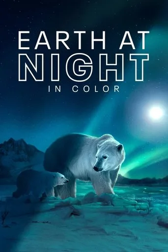 Earth at Night in Colour (2020) posteri