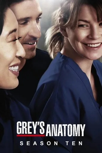 Grey's Anatomy 10. sezon posteri