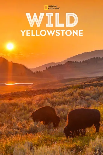 Vahşi Yolculuk: Yellowstone 1. sezon posteri
