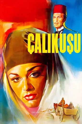 Çalıkuşu (1966) posteri
