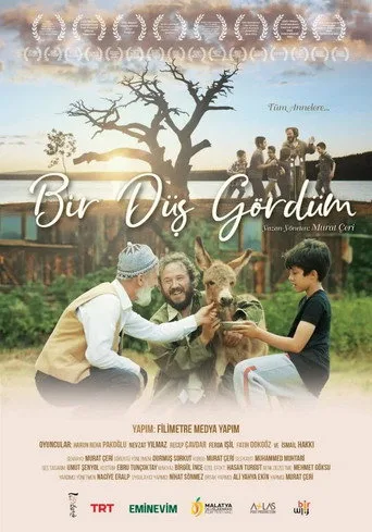 Bir Düş Gördüm (2020) posteri