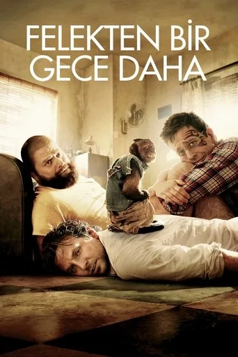 Felekten Bir Gece Daha (2011) posteri