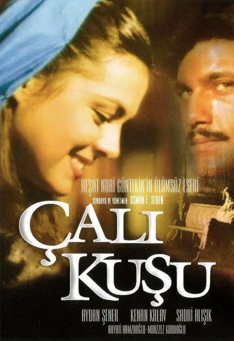 Çalıkuşu (1986) posteri