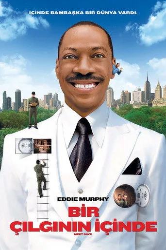 Bir Çılgının İçinde (2008) posteri