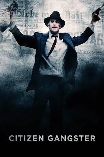 Kibar Soyguncu (2011) posteri