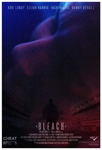 Bleach (2016) posteri