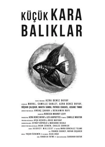 Küçük Kara Balıklar (2013) posteri