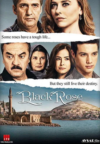 Karagül 2. sezon posteri