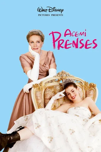 Acemi Prenses (2001) posteri