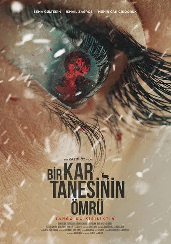 Bir Kar Tanesinin Ömrü (2022) posteri