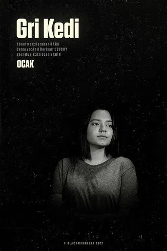 Gri Kedi (2021) posteri