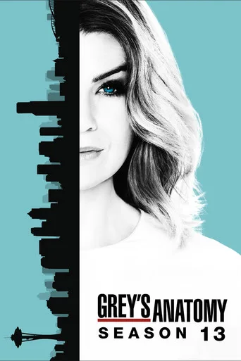Grey's Anatomy 13. sezon posteri