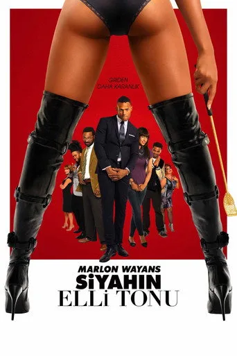 Siyahın Elli Tonu (2016) posteri